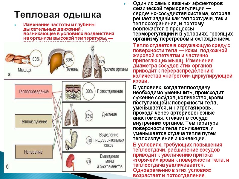 Тепловая одышка Изменение частоты и глубины дыхательных движений , возникающее в условиях воздействия на